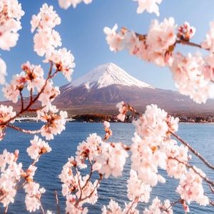 Meet your Posher, Ledeana